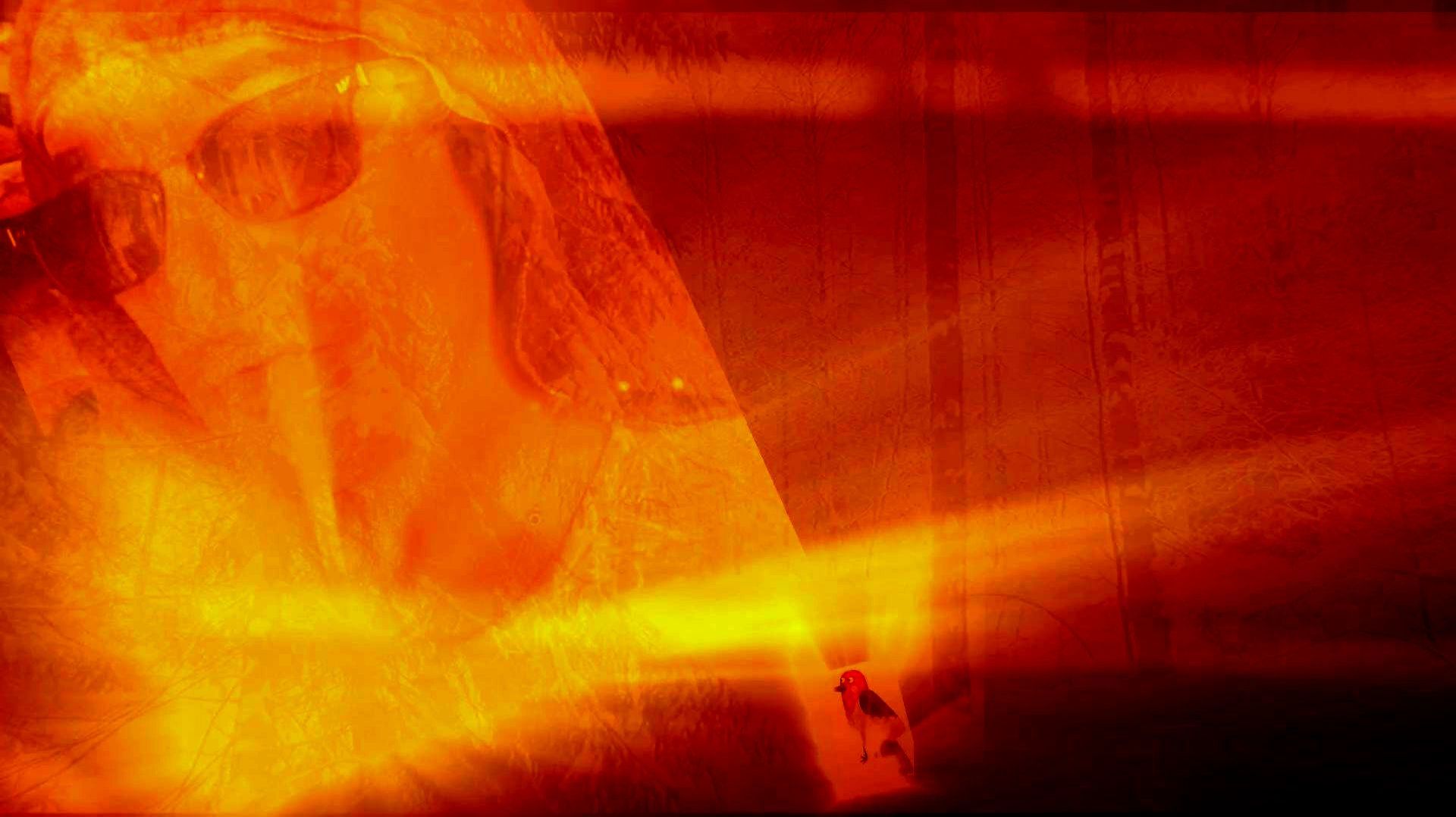 Дятел - "Доктор Бум"