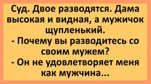 Суд, двое разводятся. Жена: он не удовлетворяет меня! | Анекдоты смешные | Юмор