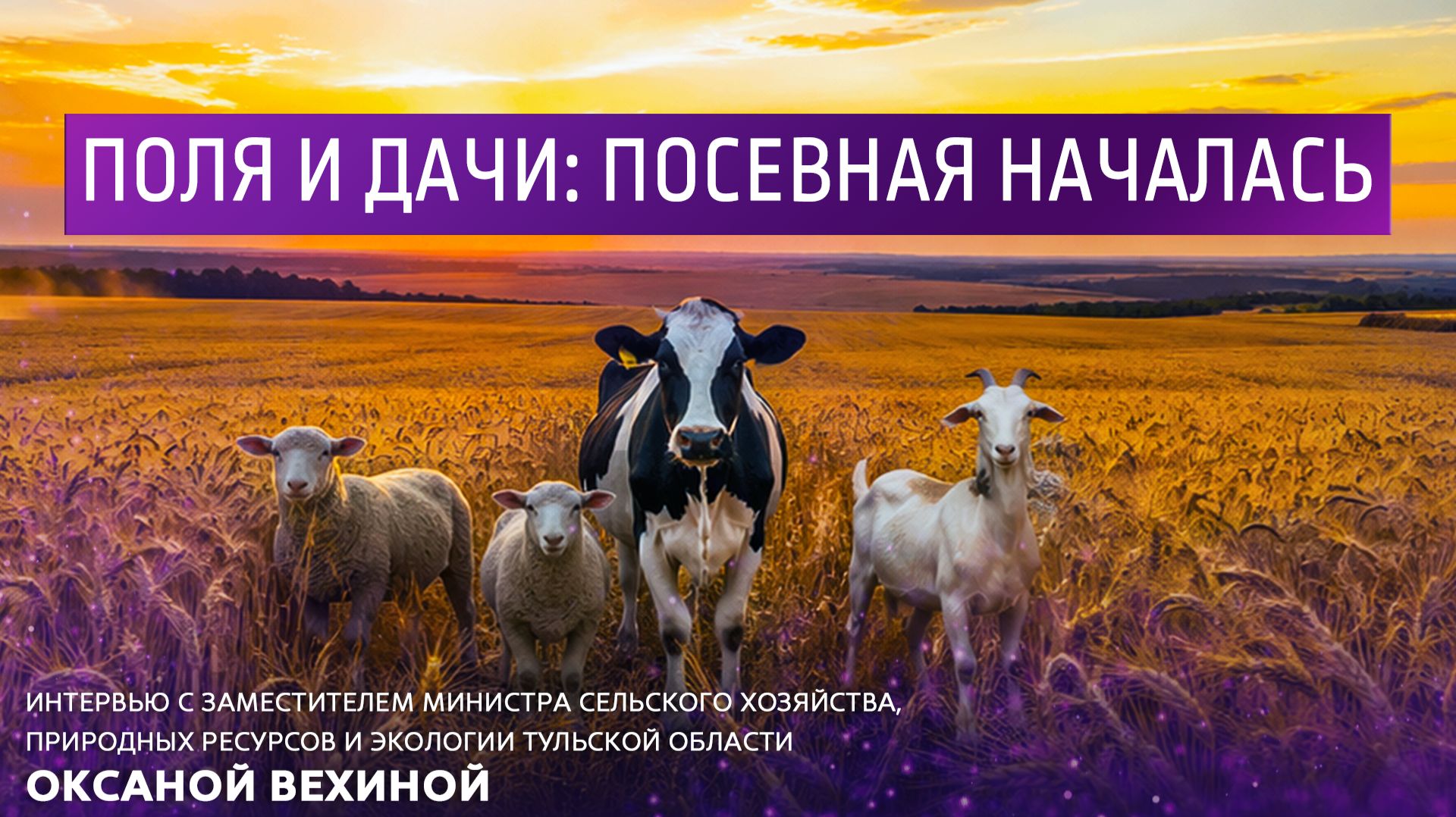 Поля и дачи: посевная началась.