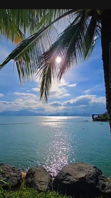 23 апреля 2026 #гороскопсегодня