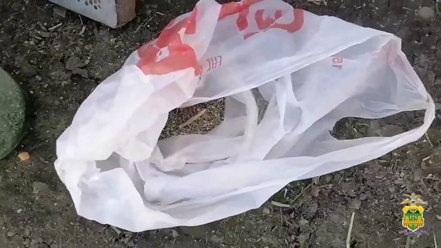 В сарае жителя Брюховецкой оперативники обнаружили зарытые в землю банки с коноплей