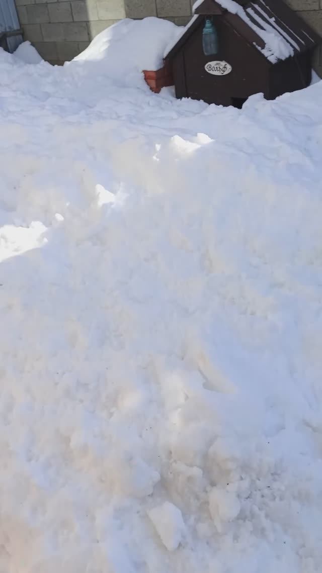 Заснеженный двор