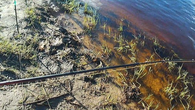 Луга. Кристи обловила меня.