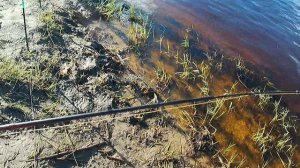 Луга. Кристи обловила меня.