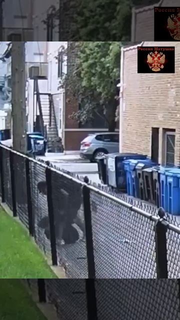 🔴США*, Чикаго.🔴Охота на белые банкоматы идёт независимо от сезона.🔴