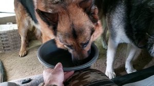 Ещё сутки ожидания и появились хорошие новости.