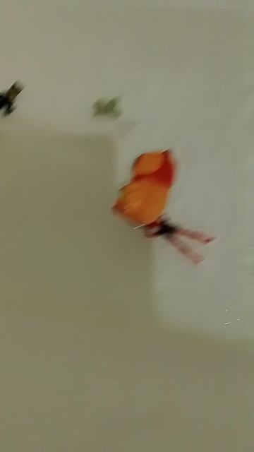 джакузи 🤣🤣🤣🤣