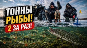 ЭТО НЕРЕАЛЬНО! 2 ОКУНЯ ЗА РАЗ... ЩУКА ЧУТЬ НЕ УТАЩИЛА СНАСТИ!
