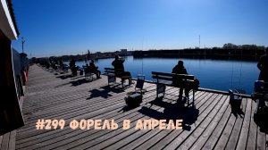 #299 Форель РК Язь 22 апреля 2026