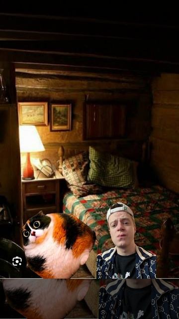 котость это куки ?