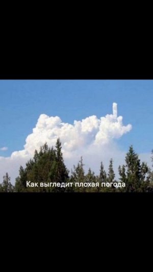 Лютые мемы Буратино