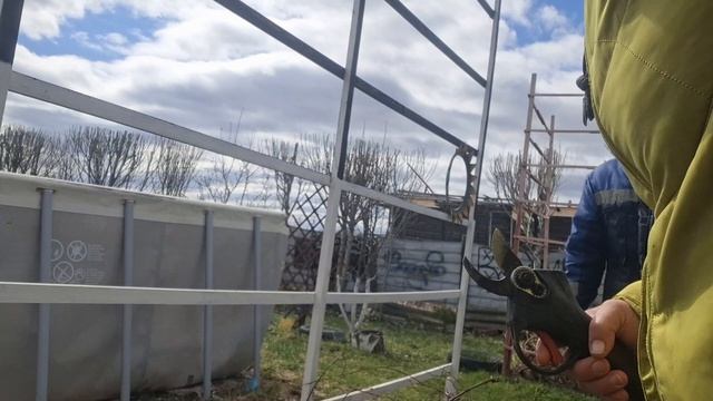 подняли и подвязали виноград и не только 22.04.26