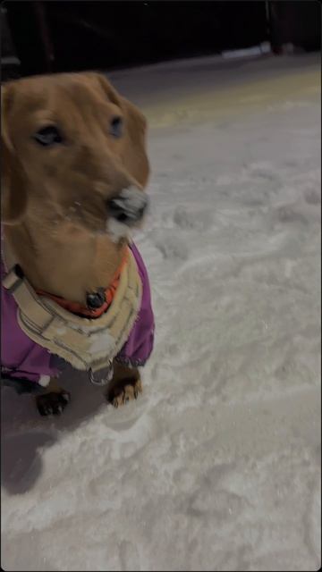 🤭Зимний кадр