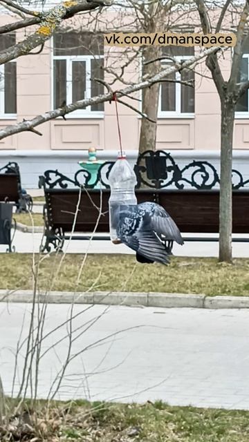 Жизнь заставит и не так раскорячишься