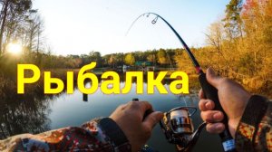 Советы для начинающих рыбоводов