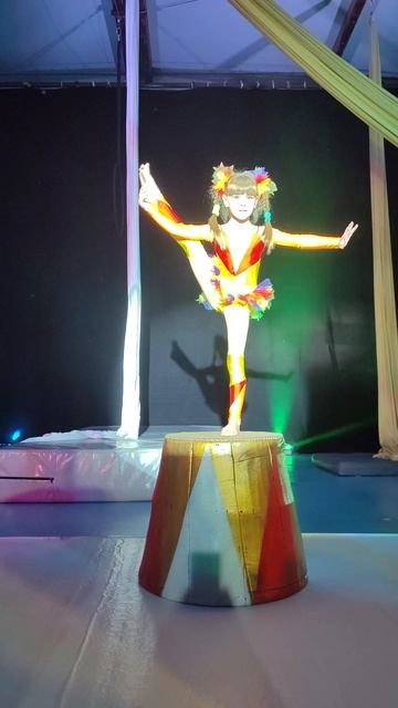 веселый номер.mp4