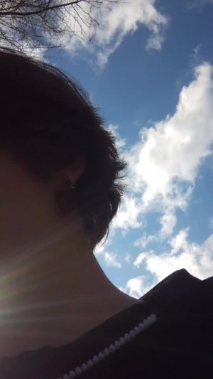 ... прогулка с собакой