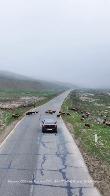 Осматриваем окрестности Баку на Kia K5