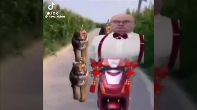 шаг за шагом год за годом гордости полна душа