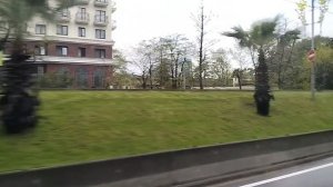 По дороге из Адлера в Сочи