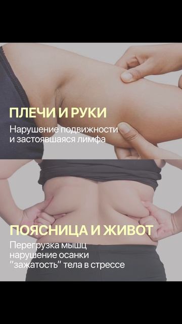 https:t.mefitstyler_bot?startspina