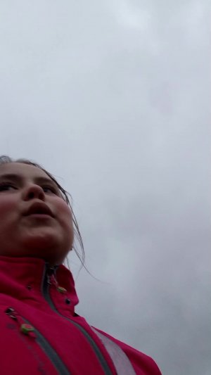 гуляем с моей собакой