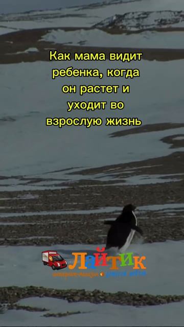 Когда ребенок начинает взрослеть