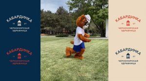 Кабардинка 2026