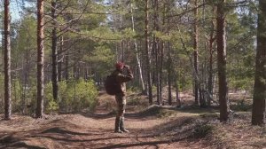 Стандартный круг по лесу. Косяки гусей. Следы лося. Переправа через Вековку. Половодье и бурелом