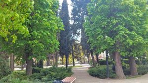 В сквере посидели с Рыжиком .Ветер в Ялте