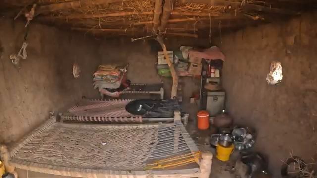 В пустынной культуре Пакистана.