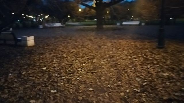 на Марсовом поле