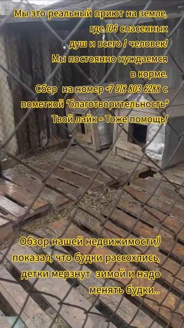 НАС107=106хвостиков  +1человек!