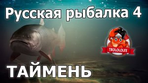 Русская рыбалка 4.Нижняя Тунгуска Таймень. Дневной лайт 4