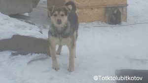 Спалил что его снимают😅