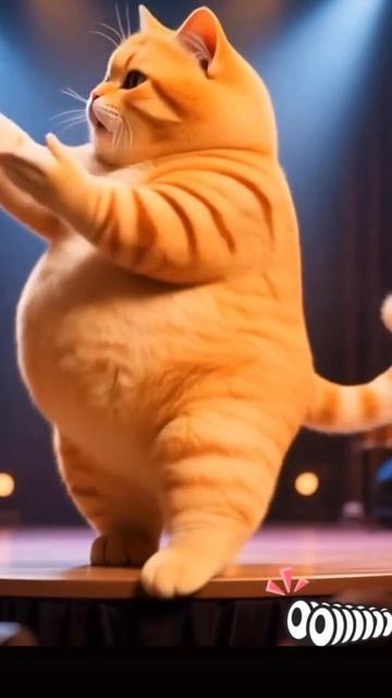 Рыжий танцор котик