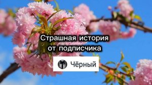 СТРАШНАЯ ИСТОРИЯ | ОТ ПОДПИСЧИКА | НА НОЧЬ