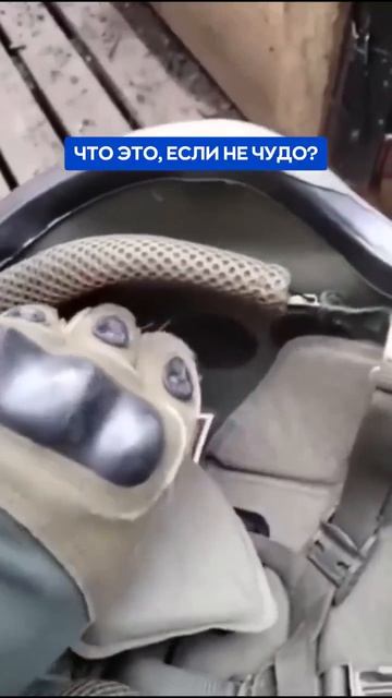 Настоящее чудо на передовой
Пуля в шлеме застряла в том месте где находила икона