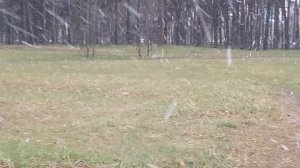 Фея и весенний снегодождь🐕❄️☃️