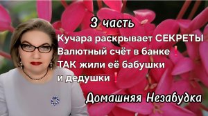 3 часть. Кучара раскрывает СЕКРЕТЫ❗️Валютный счёт в банке❗️ТАК жили её бабушки и дедушки❗️