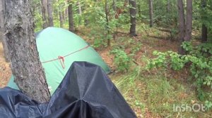 🚀🚨Невероятная находка в лесу:🤣🤣🤣 ❗🚨