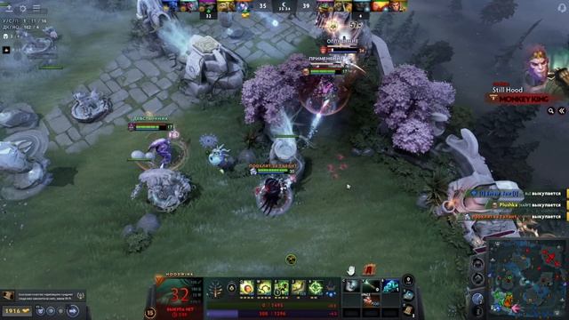 Белка водонос, дает хорошую связку, но команда не поддерживает