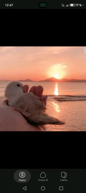 С обсуждение про песню