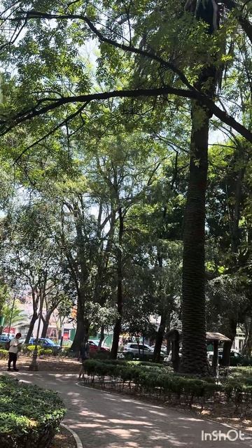 Мексика. Еще один белый  гринго.