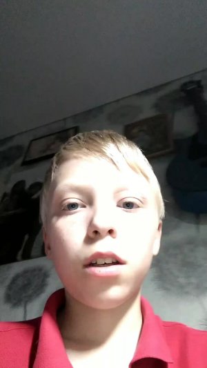 24 часа с кошкой