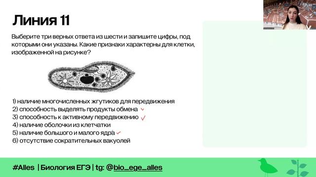 Простейшие и паразиты (практика) | Метаморфоз | Alles