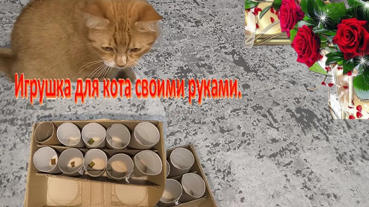 Игрушка для кота своими руками. Бюджетное развлечение для кота. Охота кота Лютика за вкусняшками.