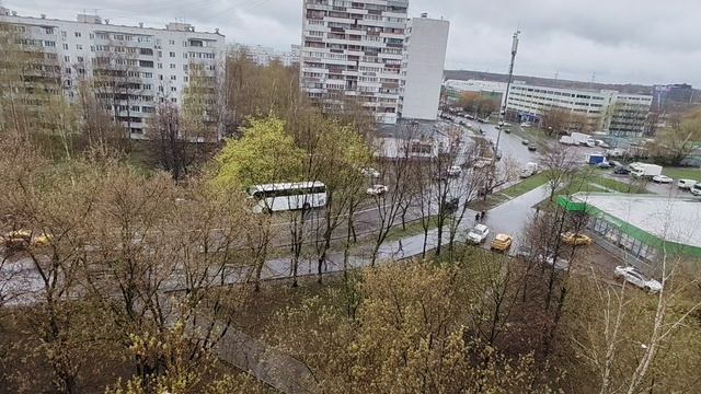 Дневник. 23.04.2026год.Утренний дзен на балконе.