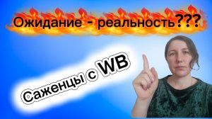 23-04-2026Получила свой первый заказ саженцев .