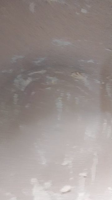 я не только радиолюбитель,но и люблю что нибудь приготовить.